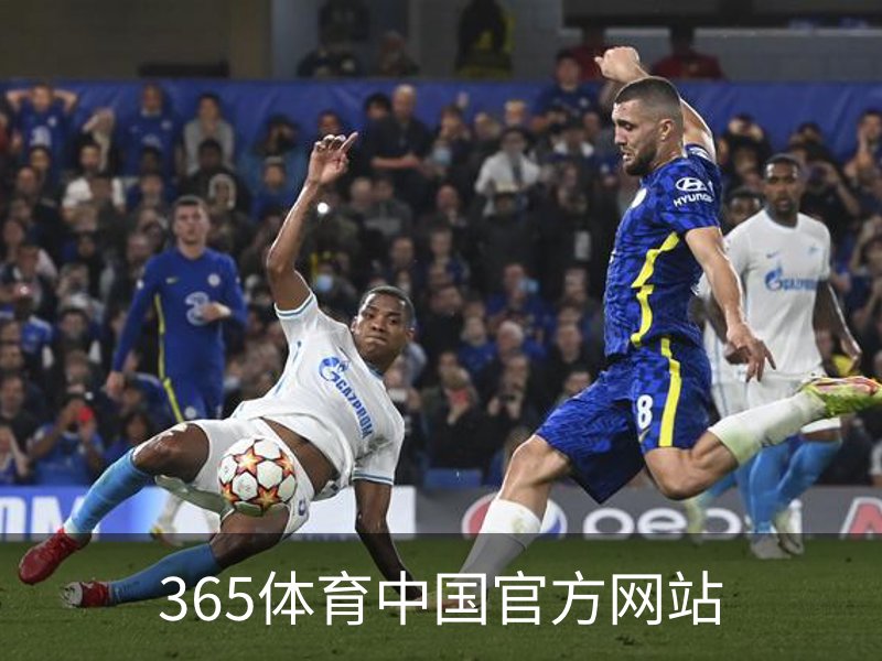 365体育中国官方网站概况